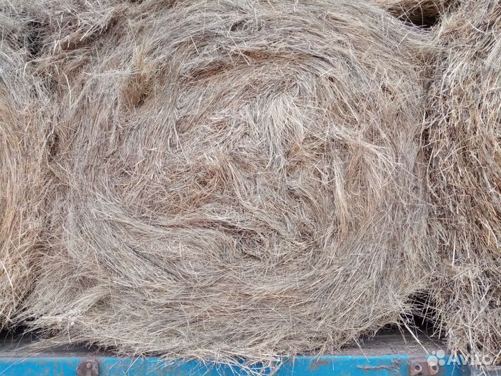Сено в рулонах