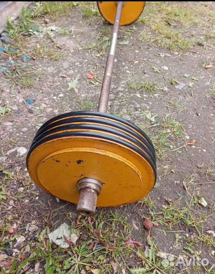 Штанга с блинами 50 кг, гантели