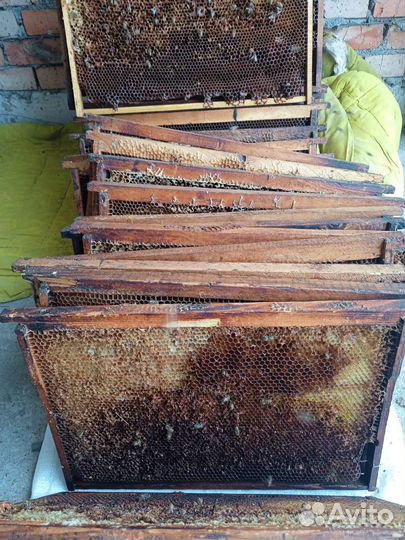 Сушь для пчел на 300