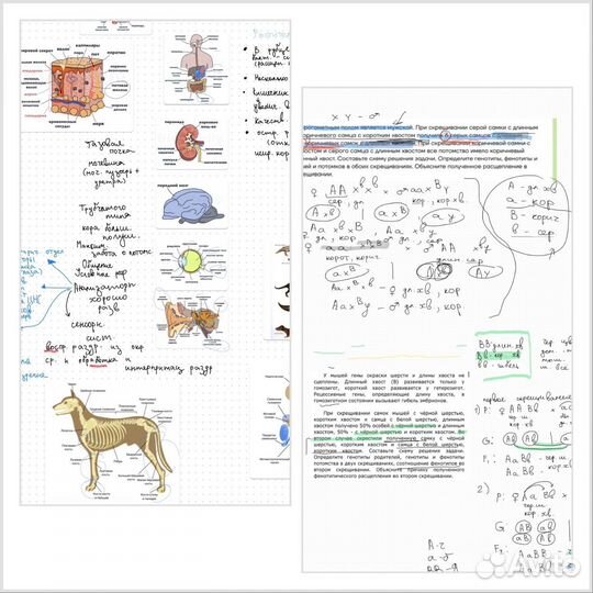 Репетитор по биологии и химии егэ, огэ