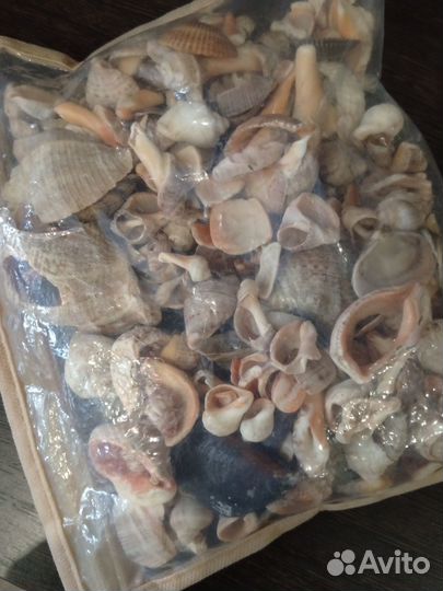 Пакет ракушек