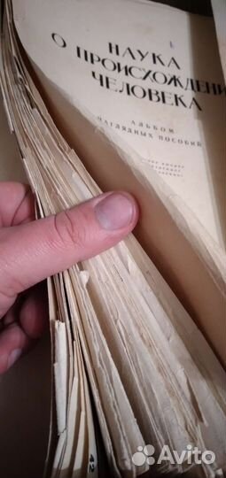 Наука о происхождении человека 1949