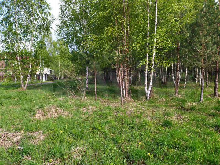 Участок 15 сот. (СНТ, ДНП)