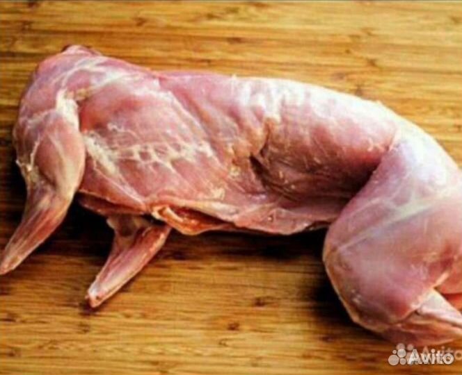 Домашние курочки,петушки, утки, индейка, перепела