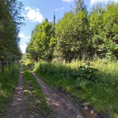 Участок 1,48 га (СНТ, ДНП)