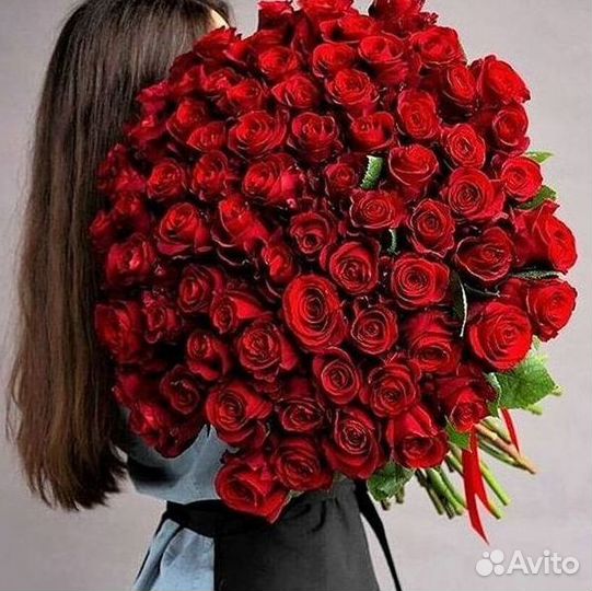 Розы Букеты Цветы Розы 31 101 151 201 Доставка
