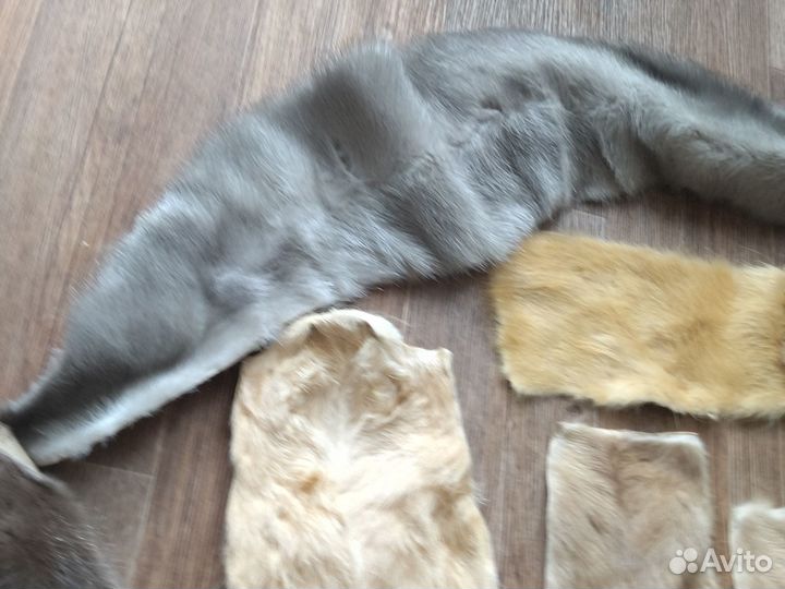 Шкурки зверьков ценных пород