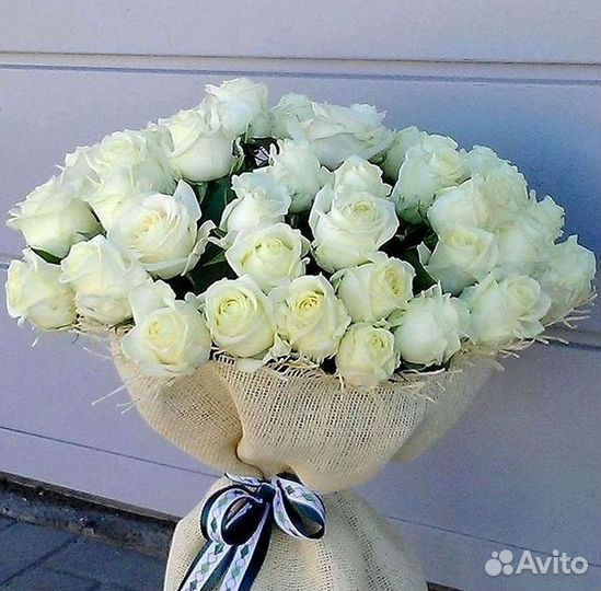 Высокие розы Гигантские Розы 150 160 170 180 190см