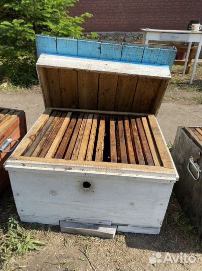 Продам ульи для пчел