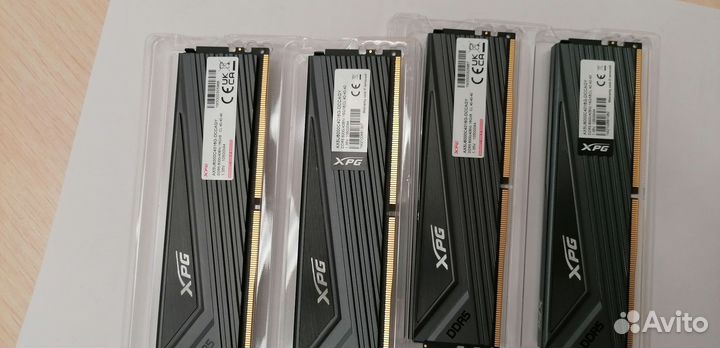 Оперативная память Adata 32GB DDR5 5600 Mhz