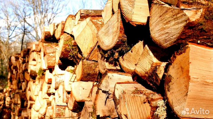 Отличные дрова
