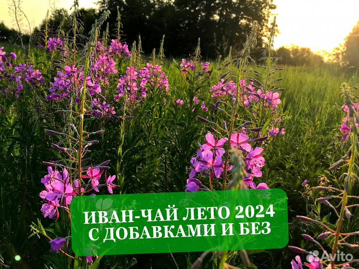 Иван-чай 250 г: ягоды,имбирь,смородина и цветы