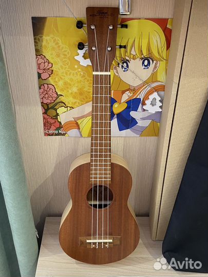Укулеле Hampi KZ1 концерт