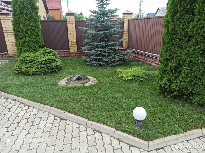 Рулонный газон в наличии