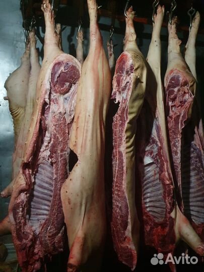 Поставка свинины, опт