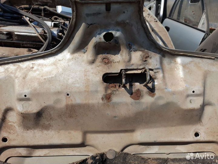 Капот каризма