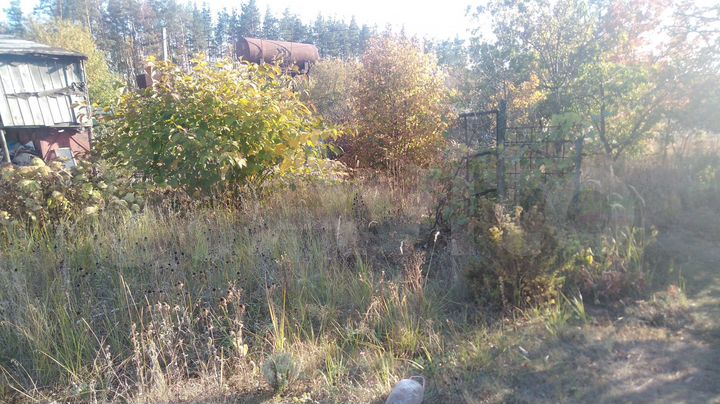 Участок 12 сот. (СНТ, ДНП)