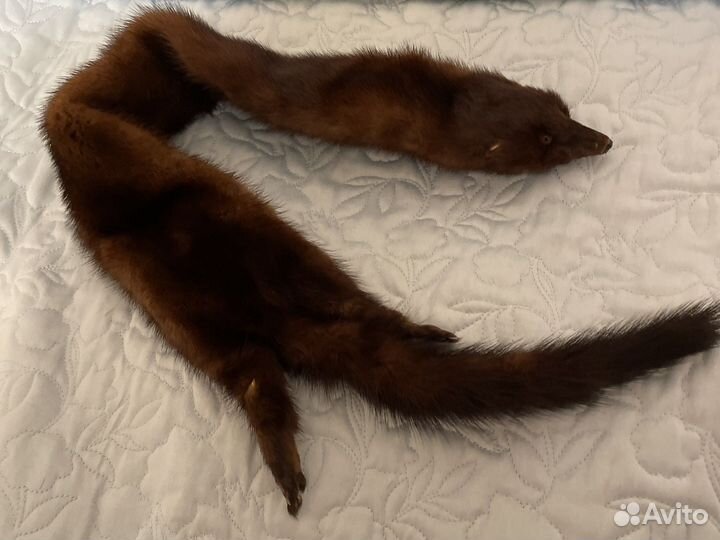 Норка. Горжетка. Шкурка