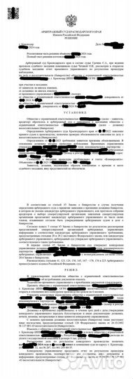 Юрист для бизнеса, банкротство юр.лиц и физ.лиц