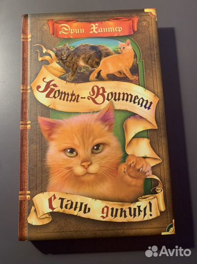 Коты воители, хроники стаи, полиана, колодец желан