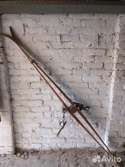 Лыжи деревянные СССР 1966 г