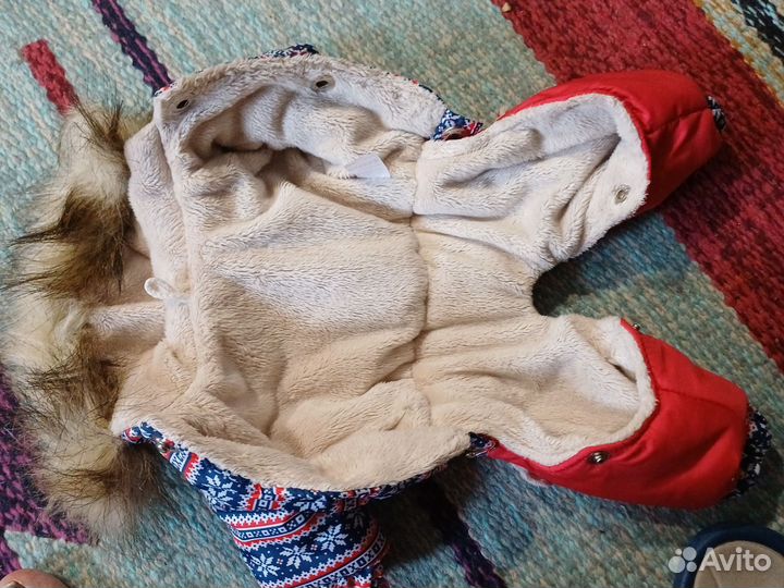 Комбинезон для маленькой собаки мальчик