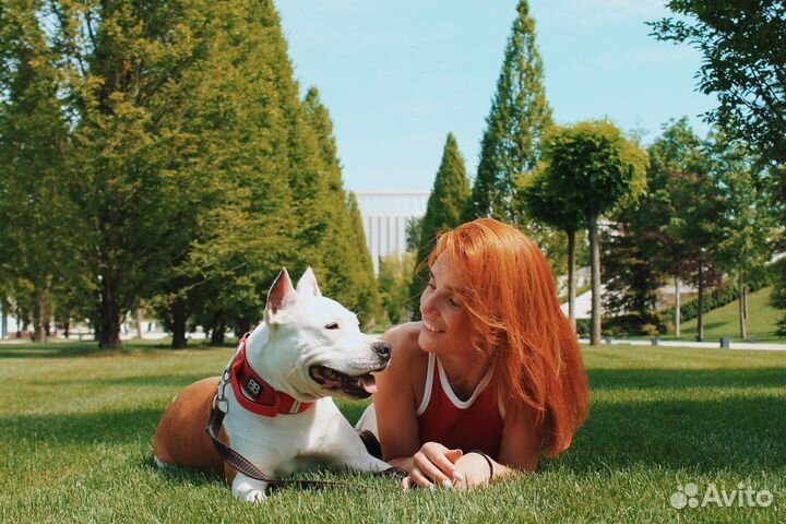 Кинолог зоопсихолог