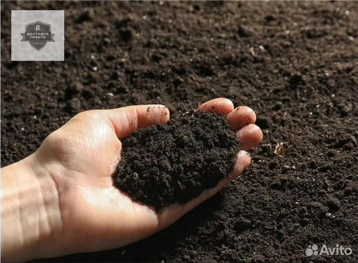 Земля чернозем