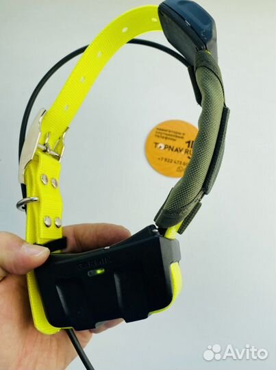 Защита ошейника Garmin DC50