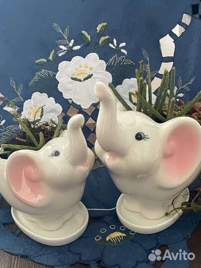 Керамические горшки для суккулентов