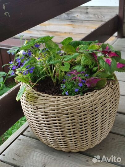 Кашпо из ротанга