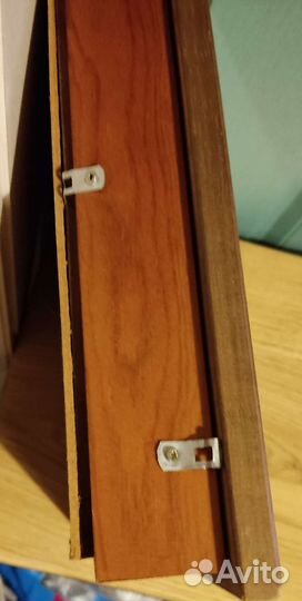 Картина морские ракушки