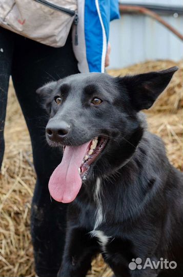 Две черные девочки