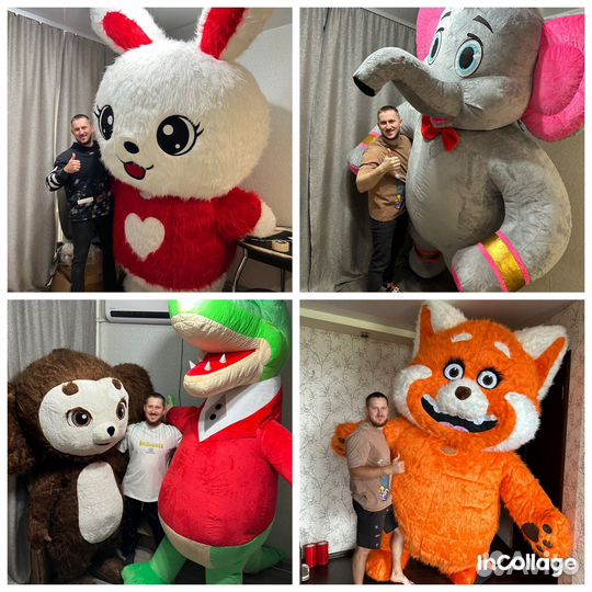 Аэро костюмы для аниматоров, ростовые куклы