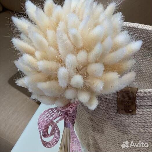 Букет из сухоцветов