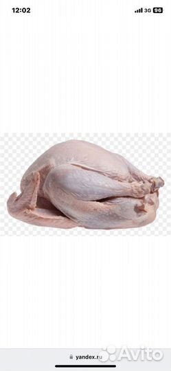 Индейка домашняя