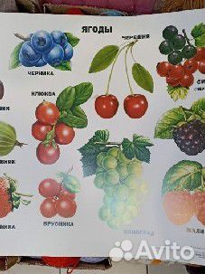 Обучающий плакат