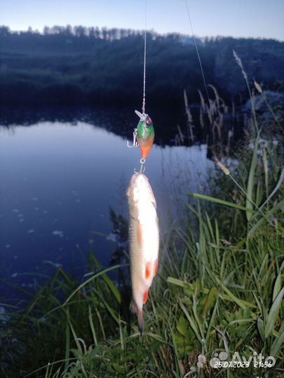 Воблер grows culture