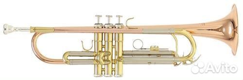 ROY benson TR-202G Bb труба (цвет золото)