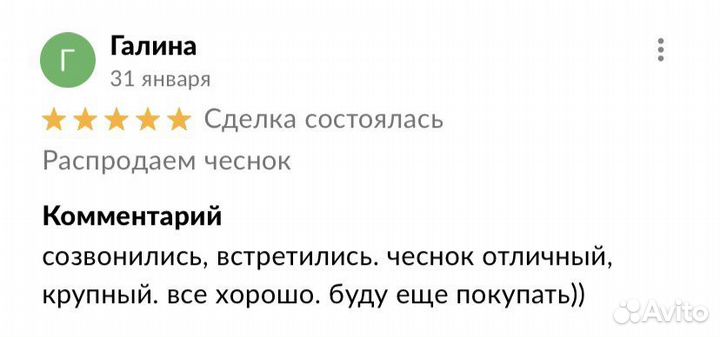 Чеснок домашний