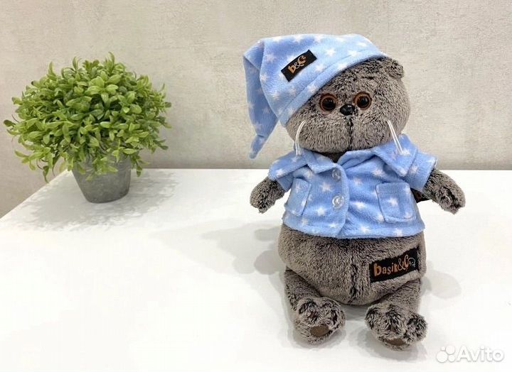 Кот Басик Budi Basa