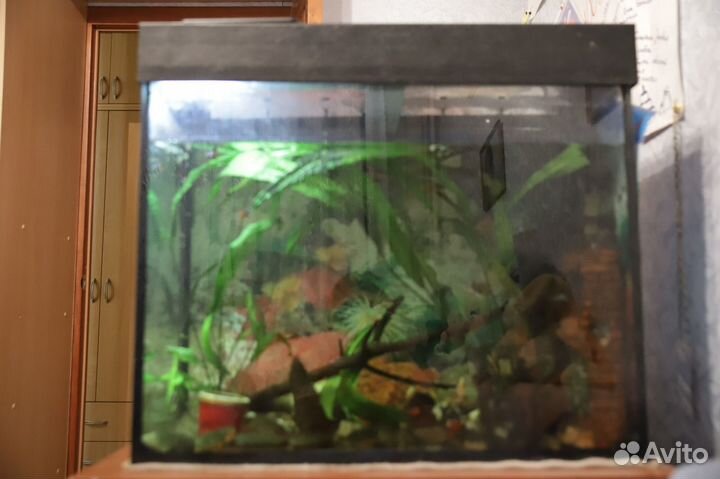 Аквариум 100 л под ключ с тумбой