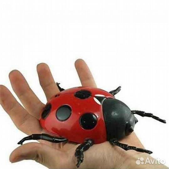 Жук на Р/У ползает по стенам