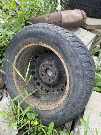 R15 Gislaved Nord Frost 5 195/65, PCD 5x120 DIA 72.6