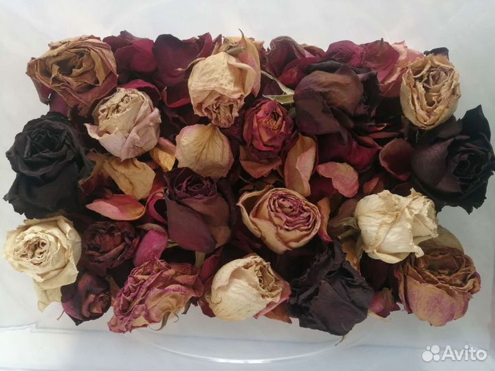 Сухие лепестки роз, бутоны