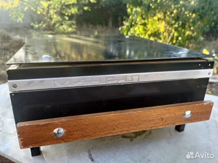 Электрошашлычница эшг-1/220