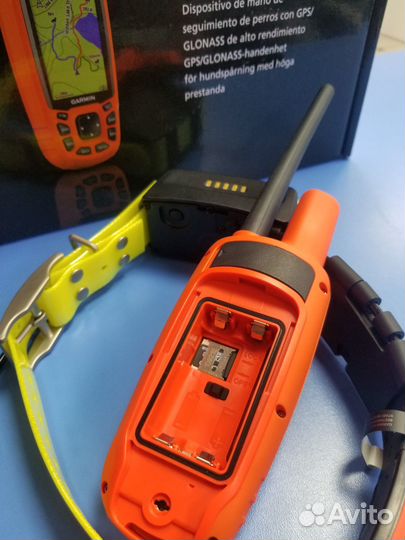 Garmin alpha 50 c ошейником T5X