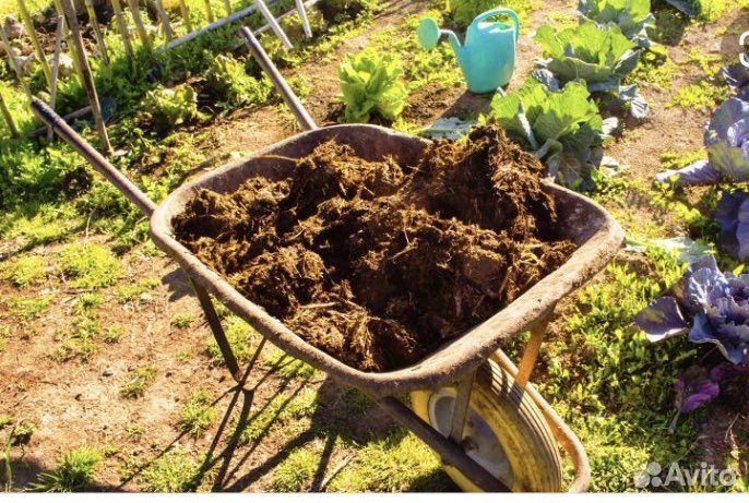 Навоз в мешках