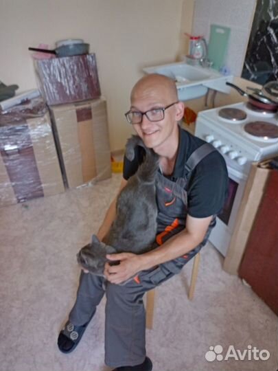 Ремонт электрических плит и варочных панелей