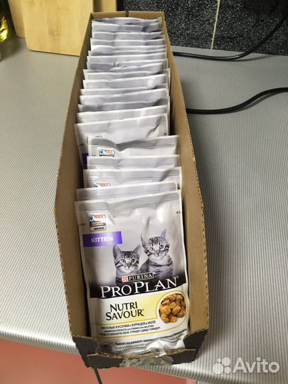 Корм для котят проплан